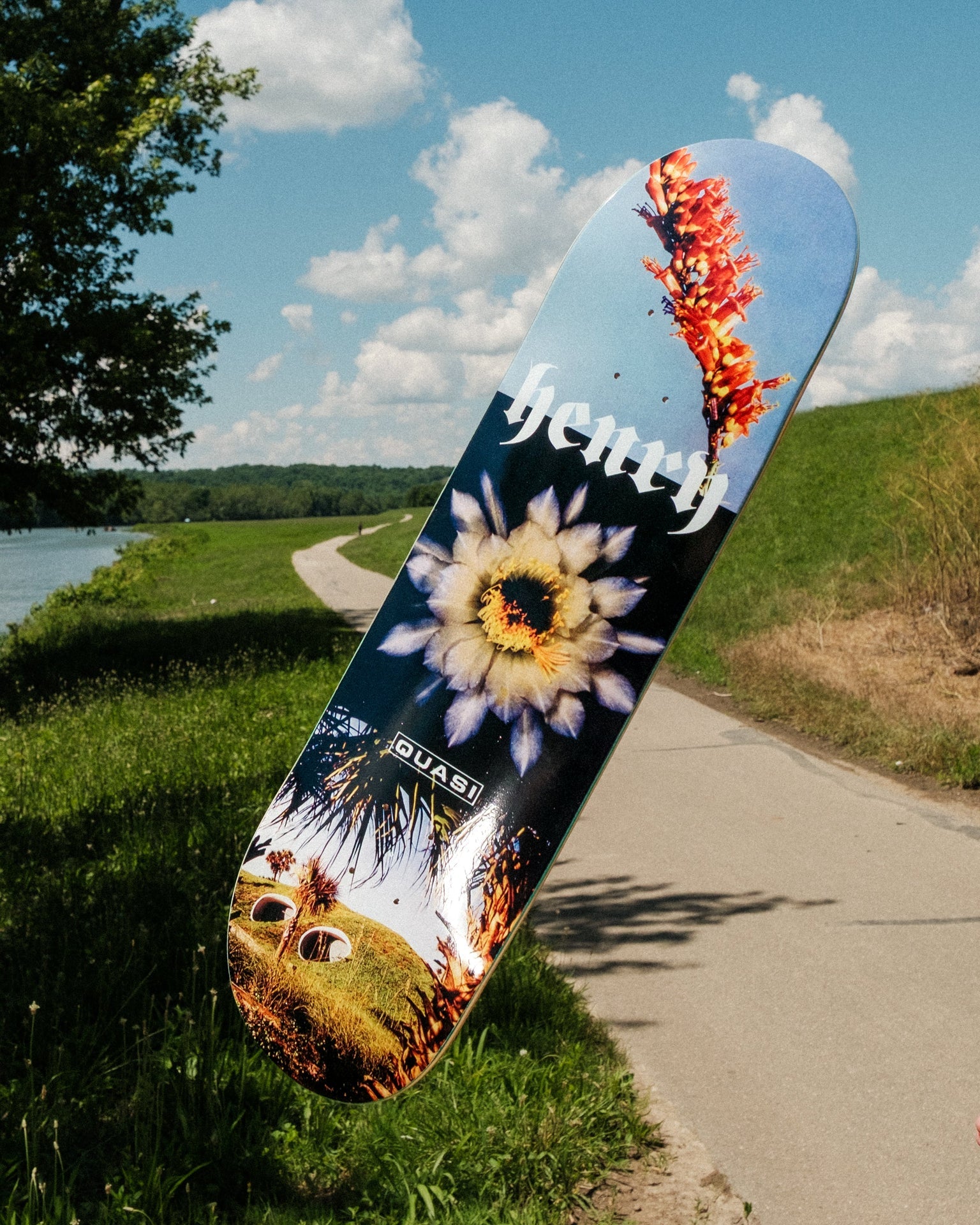 Quasi Skateboards - Henry Angel - 8.375"