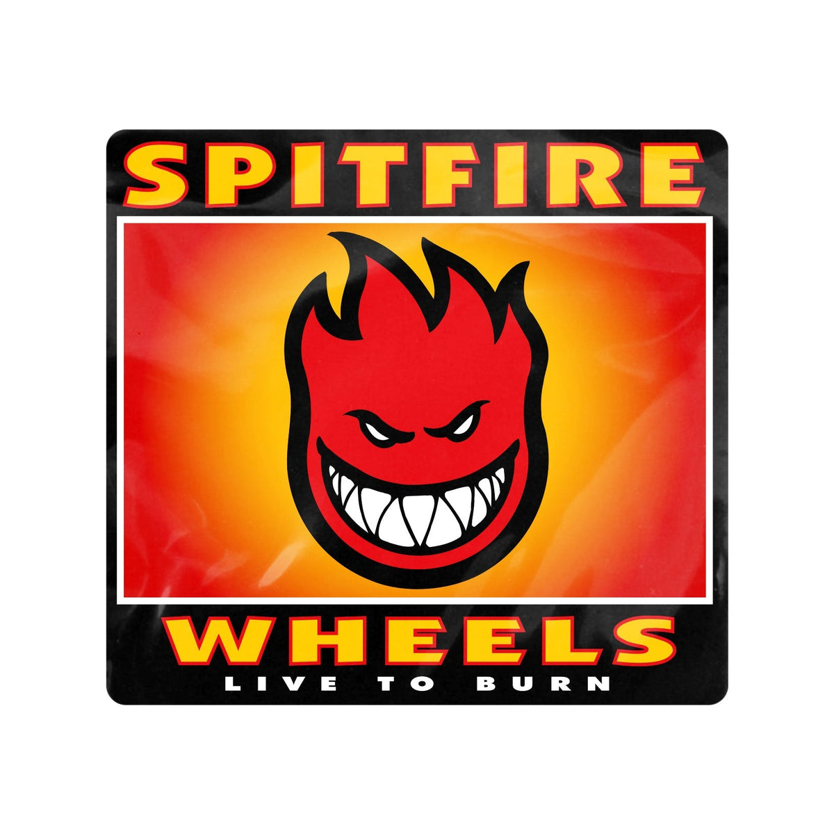 Spitfire Wheels - Bighead Box Sticker Medium